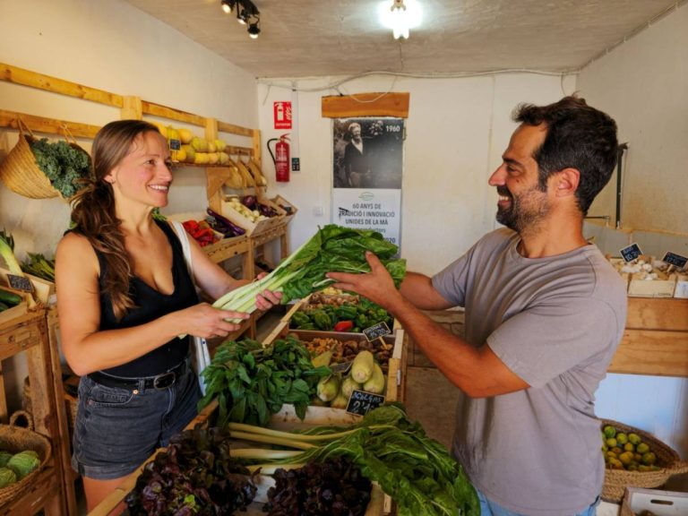 productores transformadores distribuidores agroalimentarios directorio
